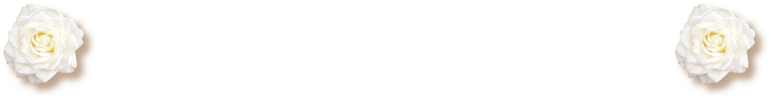 ピックアップイベント